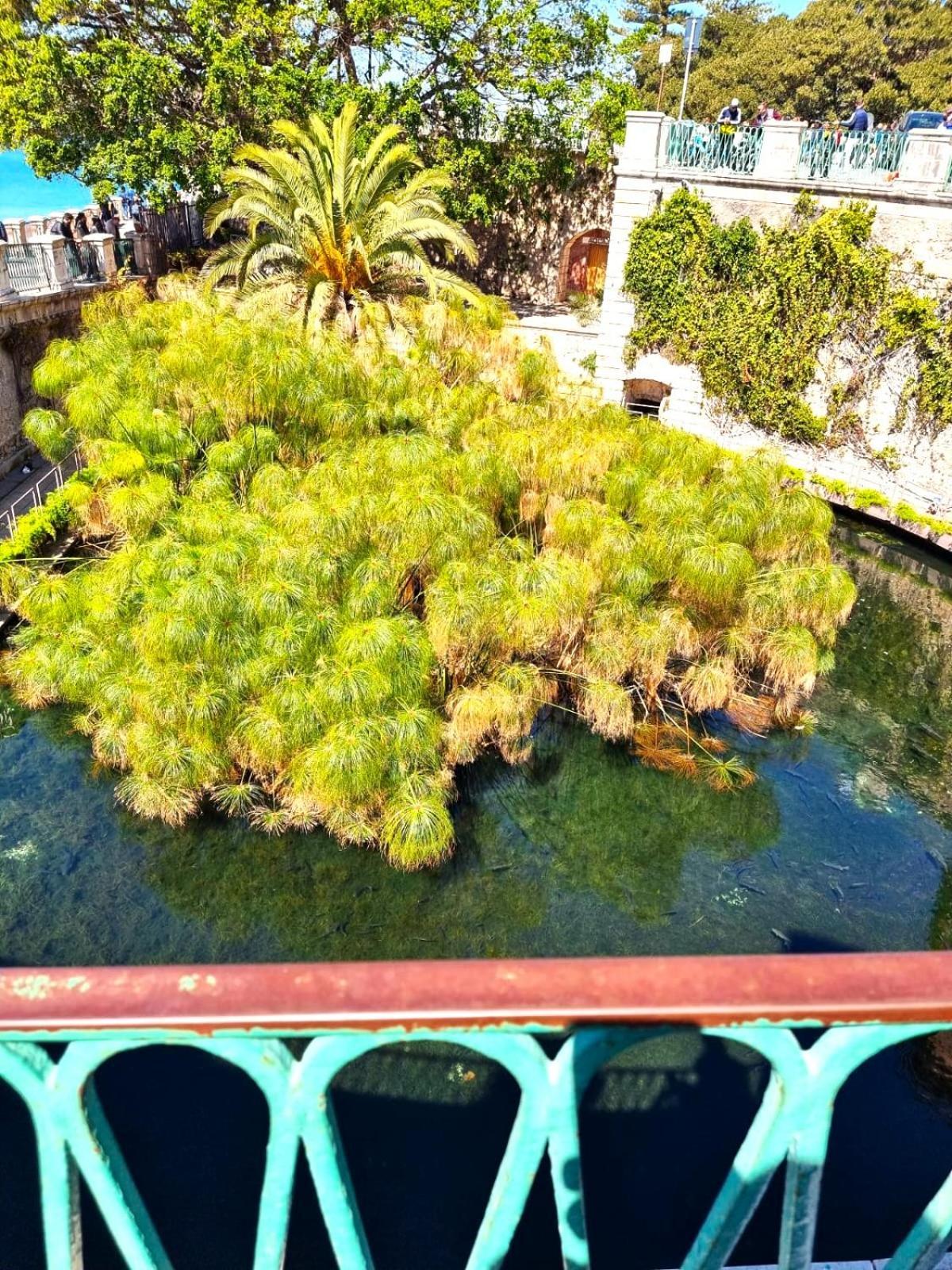 Dolce Rame Ortigia Apartamento Syracuse